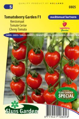 Tomaat Gardenberry F1 (Solanum)
